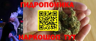 2c-b Шелехов