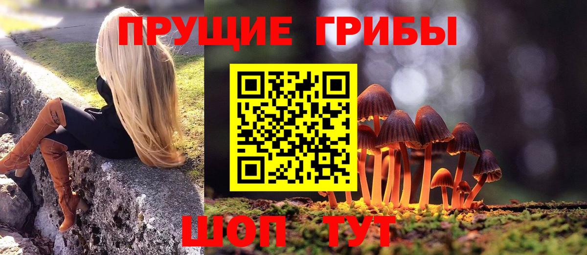 Псилоцибиновые грибы GOLDEN TEACHER  Псилоцибиновые грибы Magic Shrooms  Вход с VPN  Богородицк 