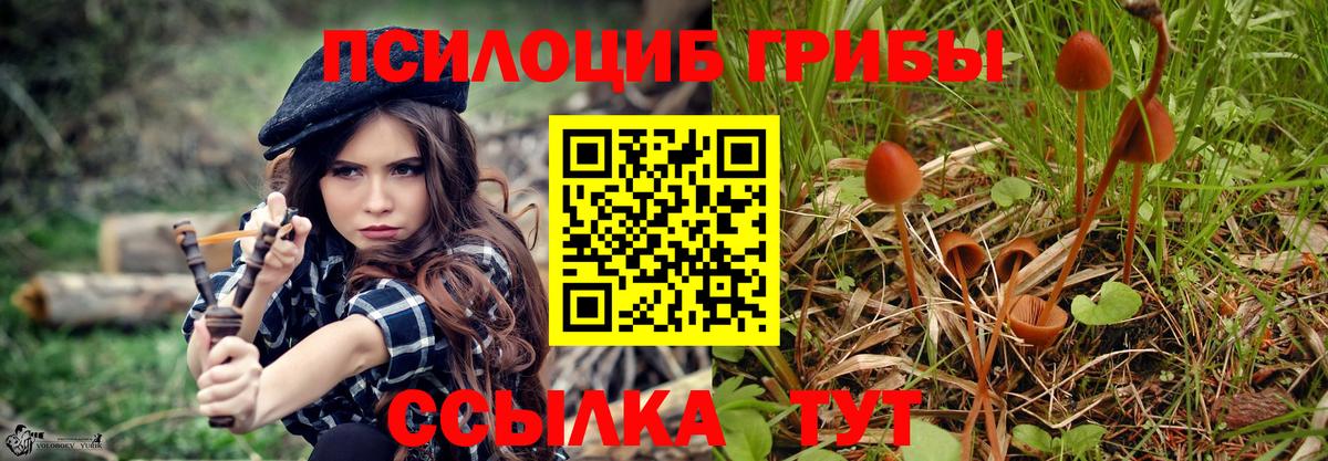 Богородицк  Мефедрон   Вход с VPN  Канабис  COCAIN  Купить закладку  Гашиш  ГАШИШ 