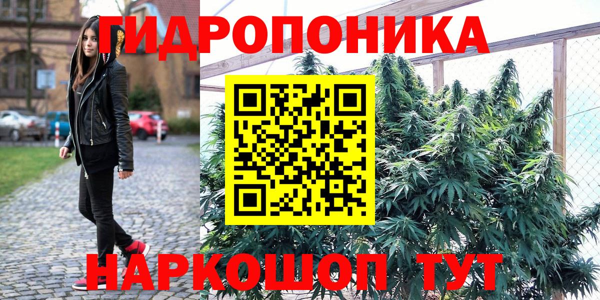 Марихуана Amnesia Богородицк